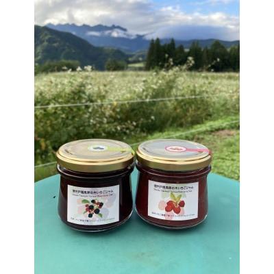 ふるさと納税 長野市 木いちごジャム ブラックベリー140g×1本・ラズベリー140g×1本セット