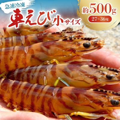 ふるさと納税 宜野座村 [養殖場から直送]急速冷凍車えび 小サイズ 500g(27〜36尾/500g×1P)