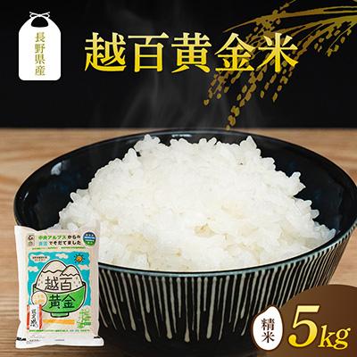 ふるさと納税 飯島町 長野県産 越百黄金米(精米)5kg