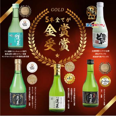 ふるさと納税 飛騨市 蓬莱　金賞受賞飲み比べセット300ml×5本(吟醸伝統辛口、家伝手造り、吟造り生貯蔵酒、どぶ、上撰) |  | 01