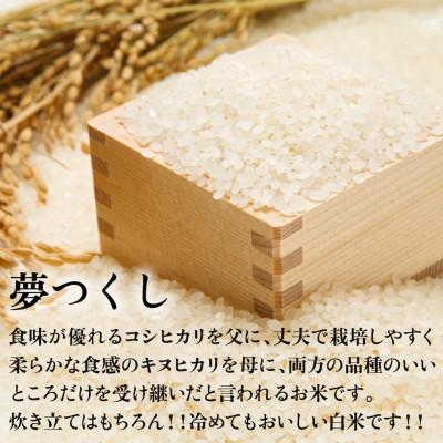 ふるさと納税 田川市 令和7年産 福岡県産米 夢つくし 合計30kg(5kg×6袋