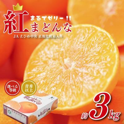 ふるさと納税 松山市 紅まどんな 青秀以上 約3kg JAえひめ中央