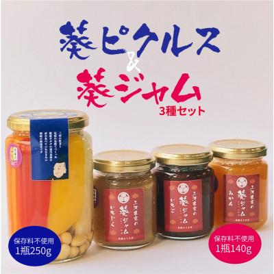 ふるさと納税 岡崎市 葵ピクルス「あいちの家康」250gびん1本&amp;葵ジャム140g3種セット