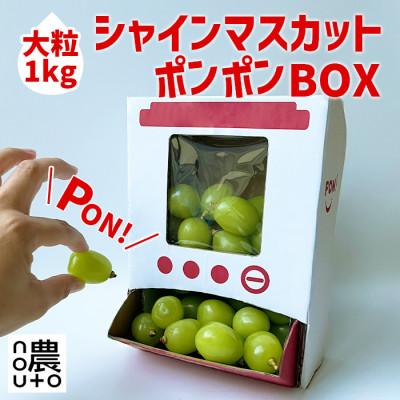 ふるさと納税 笛吹市 皆で楽しいシャインマスカットマシーン!ポンポンBox 大粒2房分