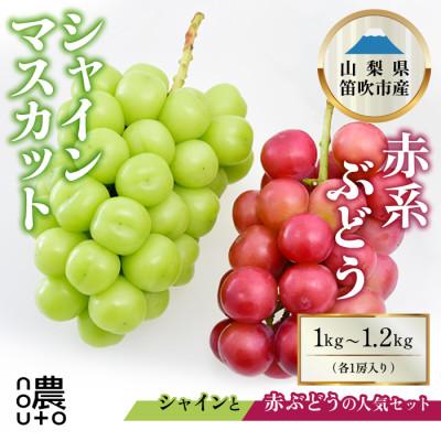 ふるさと納税 笛吹市 [2026年発送] シャインマスカット×赤系ぶどう 1kg〜1.2kg フルーツ詰め合わせセット!