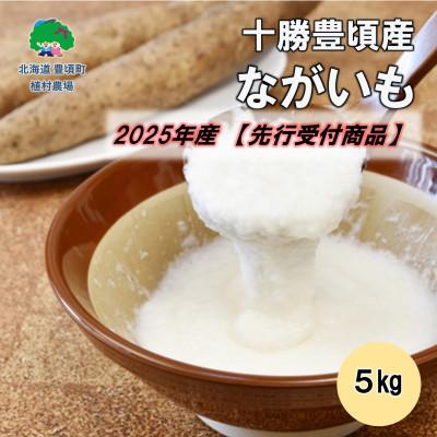 ふるさと納税 豊頃町 十勝豊頃産 ながいも5kg[2025年初冬出荷予定(先行受付)][植村農場]