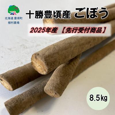 ふるさと納税 豊頃町 十勝豊頃産 ごぼう8.5kg[2025年初冬出荷予定(先行受付)][植村農場]