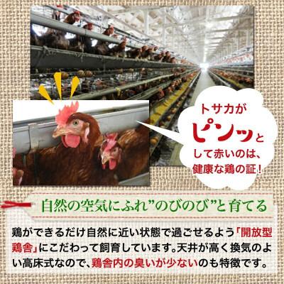 ふるさと納税 都城市 よかもよか卵45個(+破損補償5個入) |  | 02