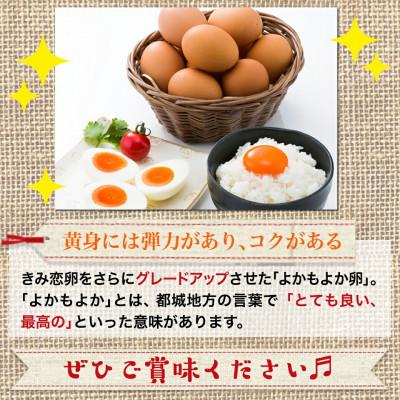 ふるさと納税 都城市 よかもよか卵45個(+破損補償5個入) |  | 03