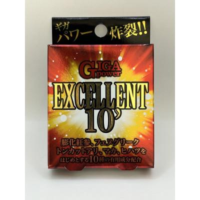 ふるさと納税 藤井寺市 GIGA POWER EXCELLENT 10'