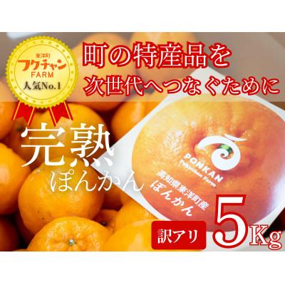 ふるさと納税 東洋町 高知県東洋町産 訳あり完熟ぽんかん 5kg