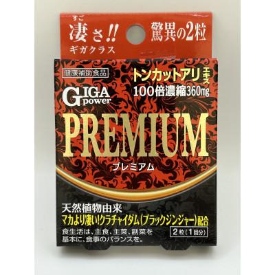 ふるさと納税 藤井寺市 GIGA POWER PREMIUM