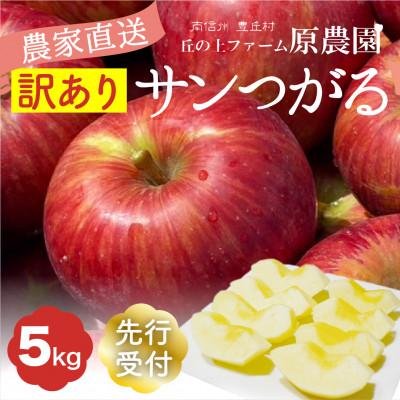 ふるさと納税 豊丘村 [丘の上ファーム]夏りんご「サンつがる」訳あり5kg 2026年8月より発送