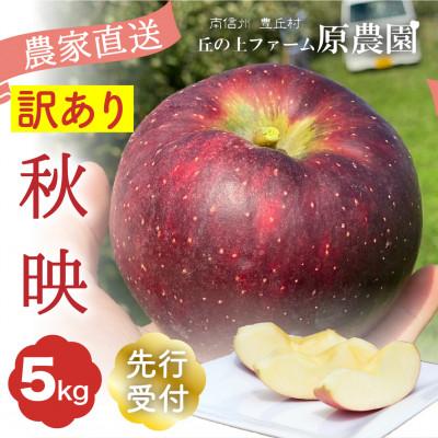 ふるさと納税 豊丘村 [丘の上ファーム]りんご「秋映」訳あり5kg(11-20玉) 2026年9月より発送
