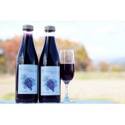 ふるさと納税 原村 八ヶ岳高原プレミアム大人のぶどうジュースメルロー 720ml×2本