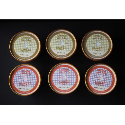 ふるさと納税 豊川市 ヴィーガンジェラート詰め合わせAセット(ライスミルク×3個、ほうじ茶×3個)