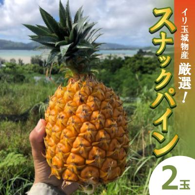 ふるさと納税 名護市 [2026年6月上旬から順次発送]イリ玉城物産が厳選したスナックパイン2kg(2玉)