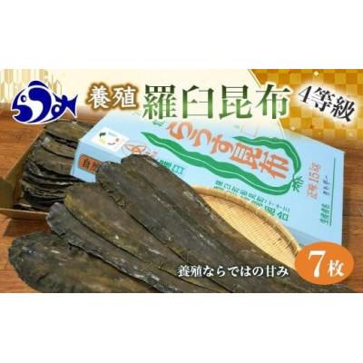 ふるさと納税 羅臼町 養殖4等 羅臼昆布7枚セット(350g~500g)[北海道 知床 羅臼産]