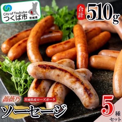 ふるさと納税 つくば市 薔薇乃ソーセージ5種セット[離島・沖縄配送不可]