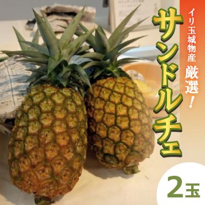 ふるさと納税 名護市 [2026年7月上旬から順次発送]イリ玉城物産が厳選したサンドルチェ2.0kg〜2.4kg(2玉)