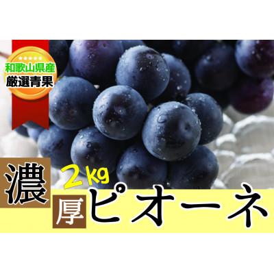 ふるさと納税 かつらぎ町 [甘さとみずみずしさが自慢]種なしピオーネ&lt;ぶどう約2kg&gt;★2026年8月下旬〜9月下旬頃発送予定
