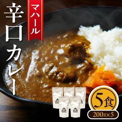 ふるさと納税 生駒市 マハール 辛口カレーセット 200g×5