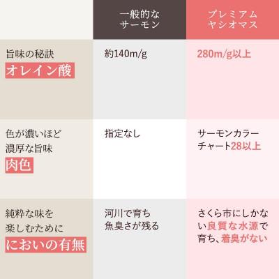 ふるさと納税 さくら市 【国産御膳上等年魚詰め合わせ仕かける】年魚刺身500g スモークサーモン 500g