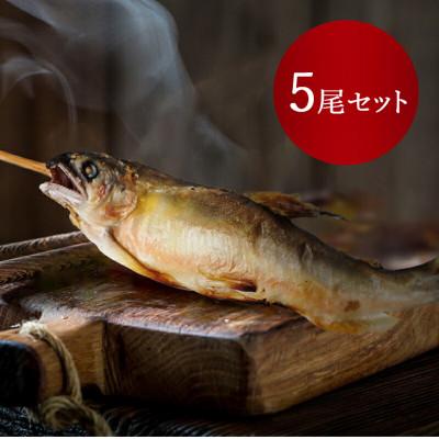 ふるさと納税 さくら市 [鮎の特製炭火焼 5尾セット]