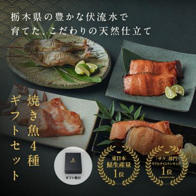 ふるさと納税 さくら市 [高級魚セット4点]鮎の炭火焼 2尾 漬鮭 (80g×2切×3種類[味噌・粕・西京])