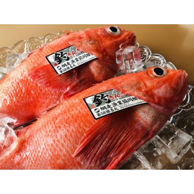 ふるさと納税 網走市 オホーツク海網走産・大型 生冷凍釣りキンキ 2尾(計約1.2kg)