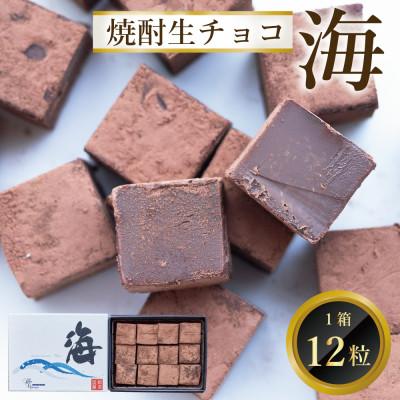 ふるさと納税 鳥栖市 焼酎生チョコ「海」(12個入り)(鳥栖市)