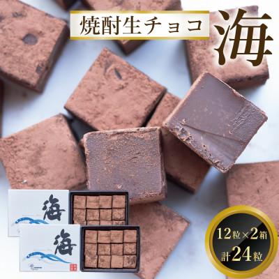 ふるさと納税 鳥栖市 焼酎生チョコ「海」12個入り×2個セット(合計24個)(鳥栖市)