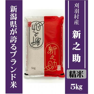 ふるさと納税 刈羽村 [新潟ブランド米][精米]刈羽村産新之助 5kg