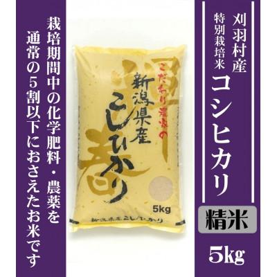 ふるさと納税 刈羽村 [新潟特別栽培米][精米]刈羽村産コシヒカリ 5kg