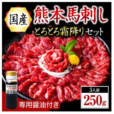ふるさと納税 南小国町 [国産]熊本馬刺し とろとろ霜降りセット 中トロ 250g(南小国)