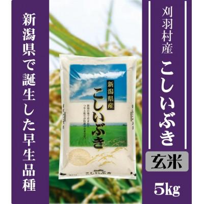 ふるさと納税 刈羽村 [新潟県早生品種][玄米]刈羽村産こしいぶき 5kg
