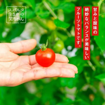 ふるさと納税 江津市 【訳あり】スパルタ生まれの笑ちゃん フルーツトマト 約2.3kg |  | 01