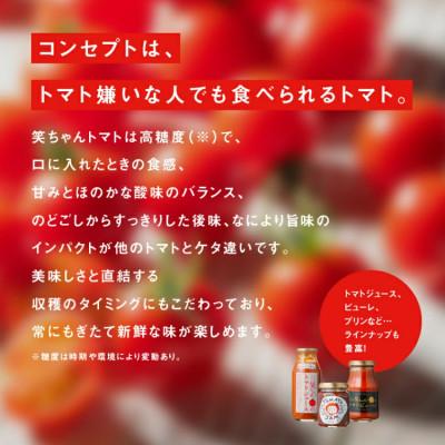 ふるさと納税 江津市 【訳あり】スパルタ生まれの笑ちゃん フルーツトマト 約2.3kg |  | 02