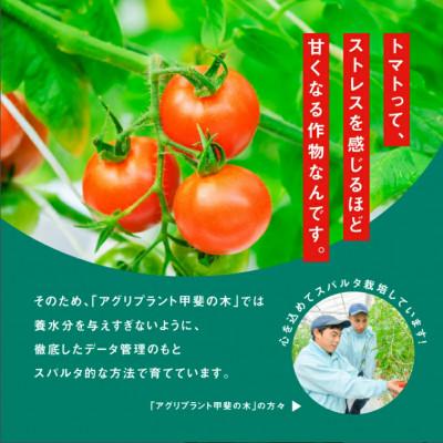 ふるさと納税 江津市 【訳あり】スパルタ生まれの笑ちゃん フルーツトマト 約2.3kg |  | 03