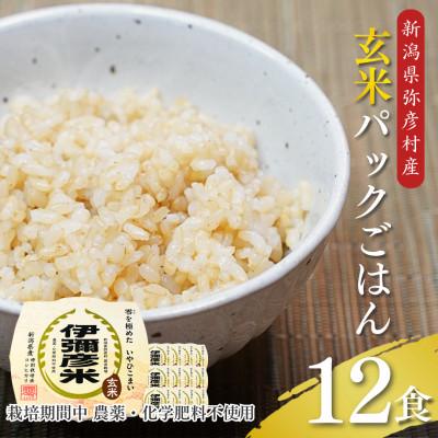 ふるさと納税 弥彦村 [伊彌彦米零玄米パックごはん]皇室献上米 150g入り×12パック