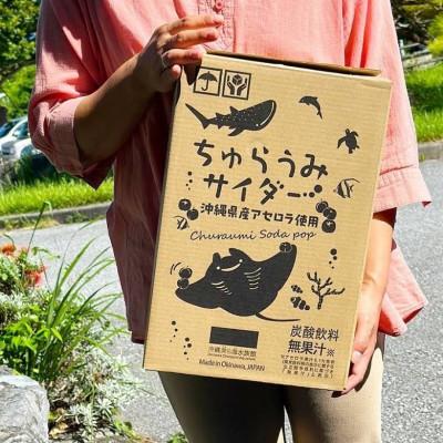 ふるさと納税 本部町 沖縄美ら海水族館オリジナル「ちゅらうみサイダー