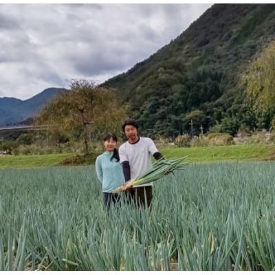 ふるさと納税 朝来市 特別栽培・岩津ねぎ 2kg