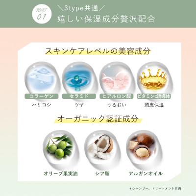 ふるさと納税 かつらぎ町 【ALLNA ORGANIC】 オルナ オーガニック シャンプー & トリートメント セット