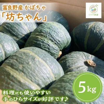 ふるさと納税 富良野市 【2027年発送】北海道富良野産かぼちゃ「坊ちゃん」5kg ※手のひらサイズが好評です! | 