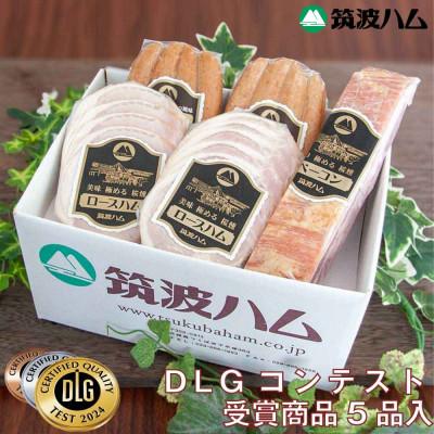 ふるさと納税 桜川市 筑波ハム 銘柄豚「常陸の輝き」DLGコンテスト受賞商品詰め合わせ 5品[茨城県共通返礼品]