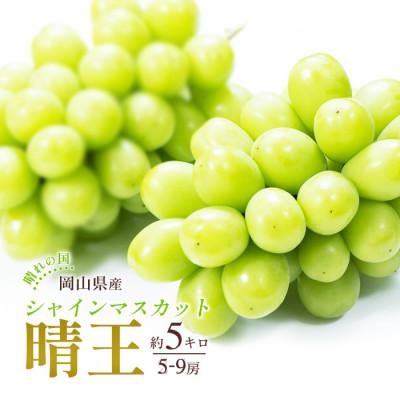 ふるさと納税 浅口市 2026年発送 岡山産 シャインマスカット 晴王 5〜9房入り 合計約5kg 大粒 種無し