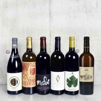 ふるさと納税 甲州市 甲州市極上赤白ワイン6本セット 家飲み 日本ワイン(G1-620)
