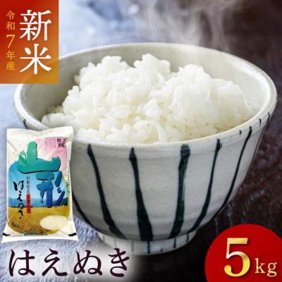 ふるさと納税 鶴岡市 令和7年産はえぬき 精米 5kg×1袋