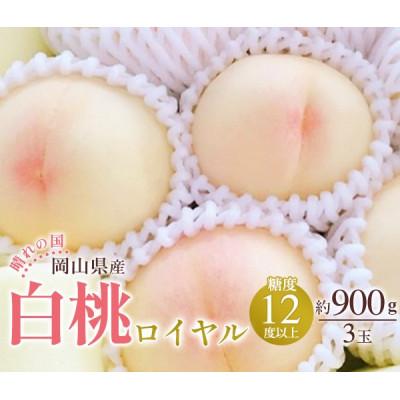ふるさと納税 浅口市 2026年発送 岡山産 白桃 ロイヤル 3玉入り 合計約900g
