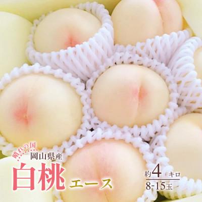 ふるさと納税 浅口市 2026年発送 岡山産 白桃 エース 約4kg 8〜15玉入り